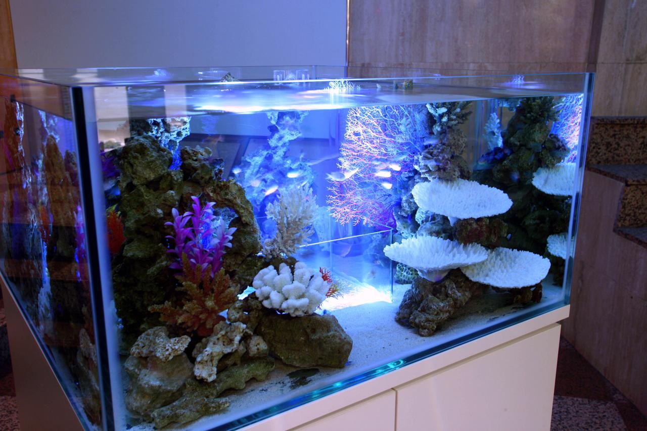 Hotel Aqua Blue Yokosuka (Adults Only) Экстерьер фото